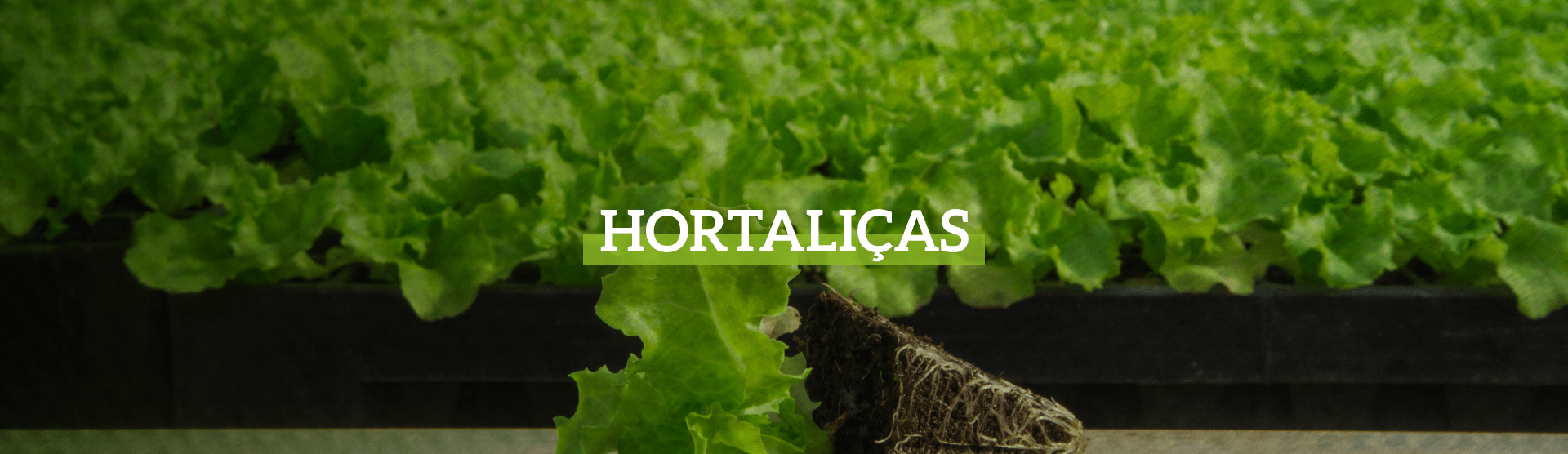 banners_hortaliça