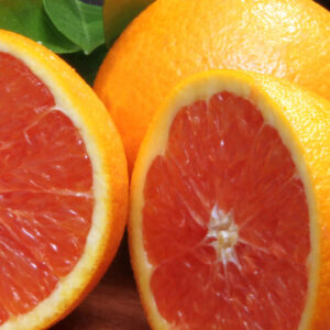 LARANJA CARA A CARA ENXERTADA