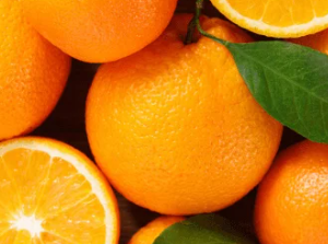 LARANJA BAHIA MONTE PARNASO ENXERTADA